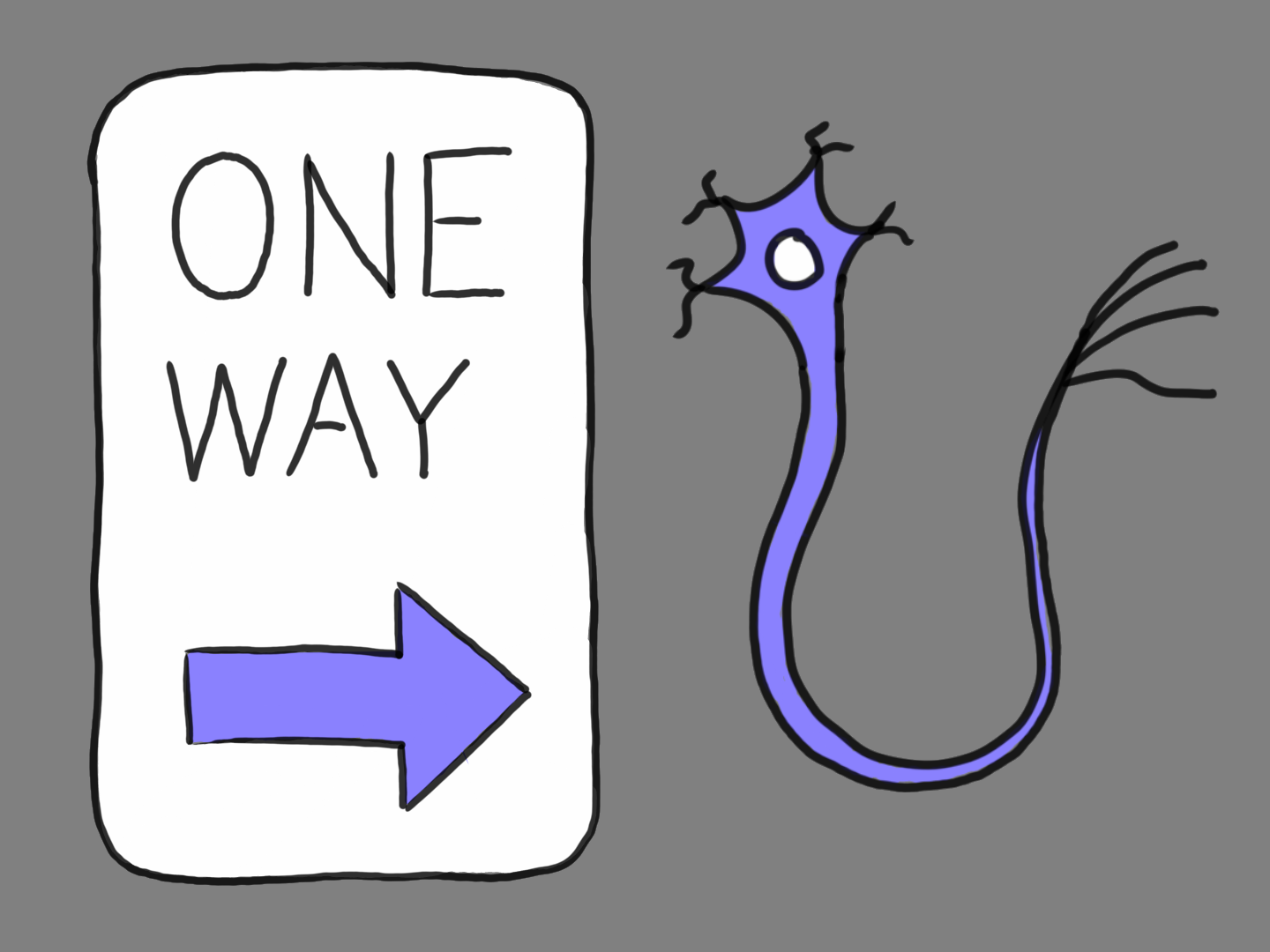 Biology Cannot Use Backpropagation